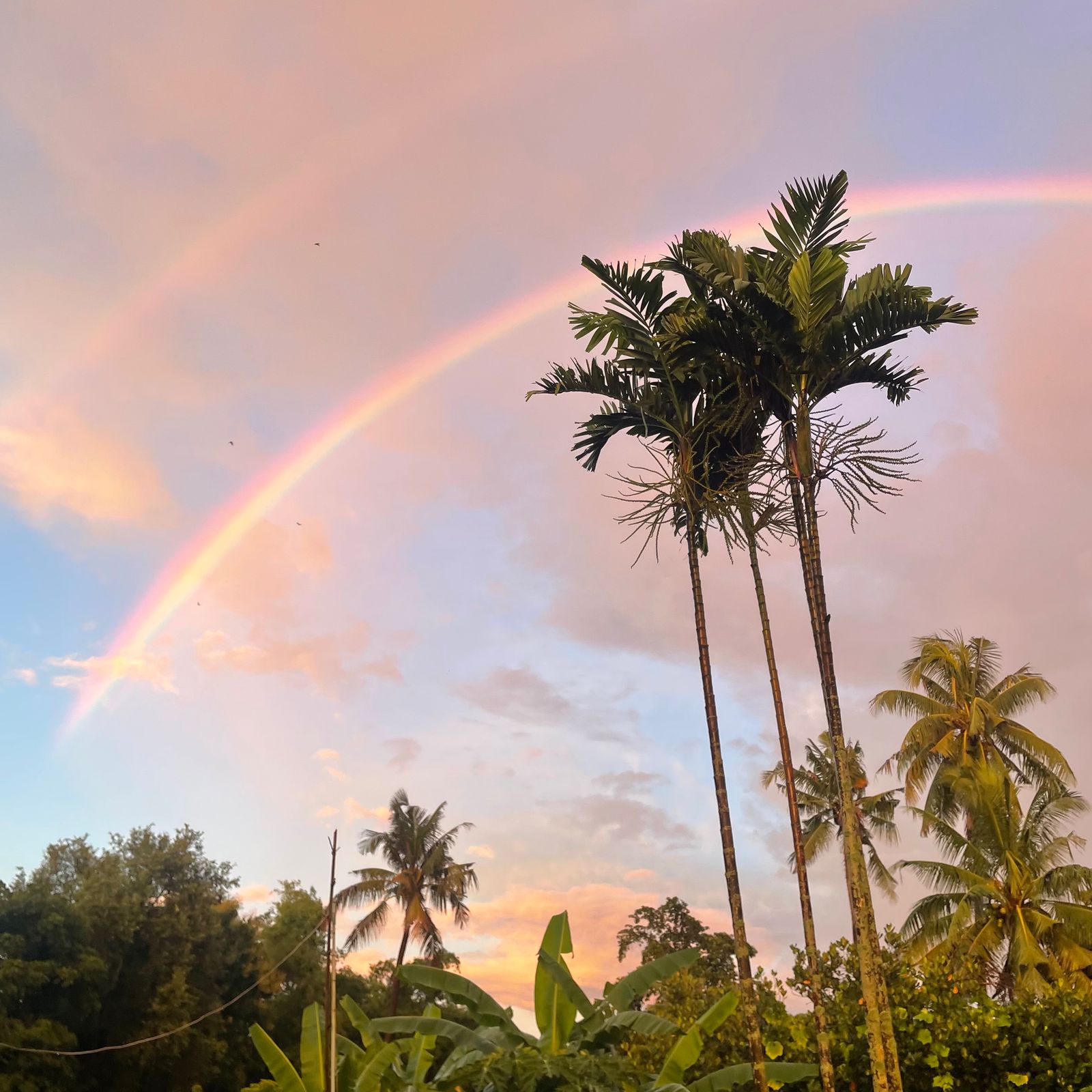 Prose Poetry #2 - Bannok